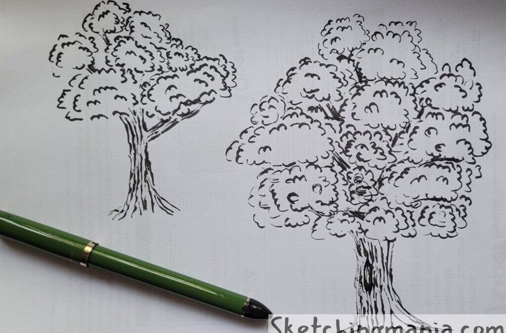 Baum Studien