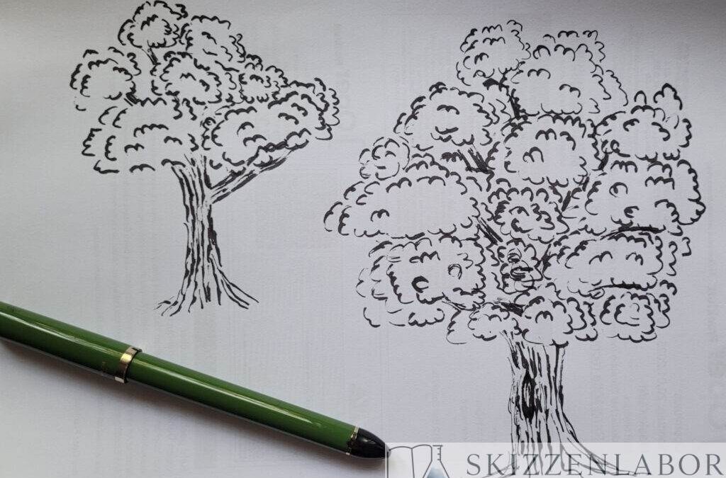 Baum Studien