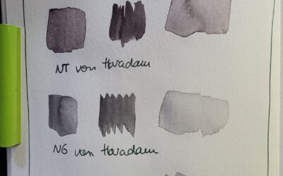 Neutral Tints